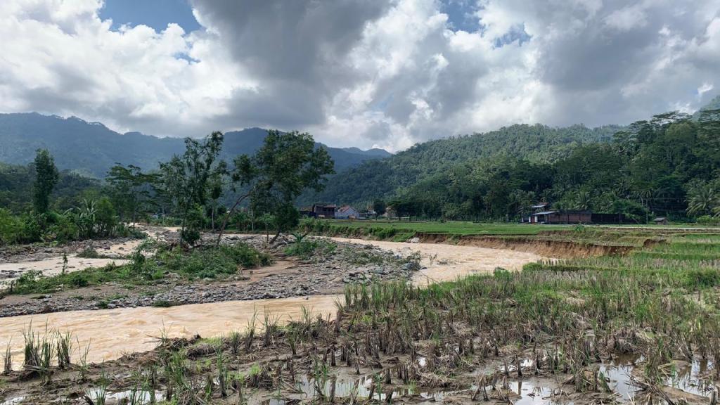 Dampak Bencana Trenggalek, 16 Hektare Lahan Petani Gagal Panen
