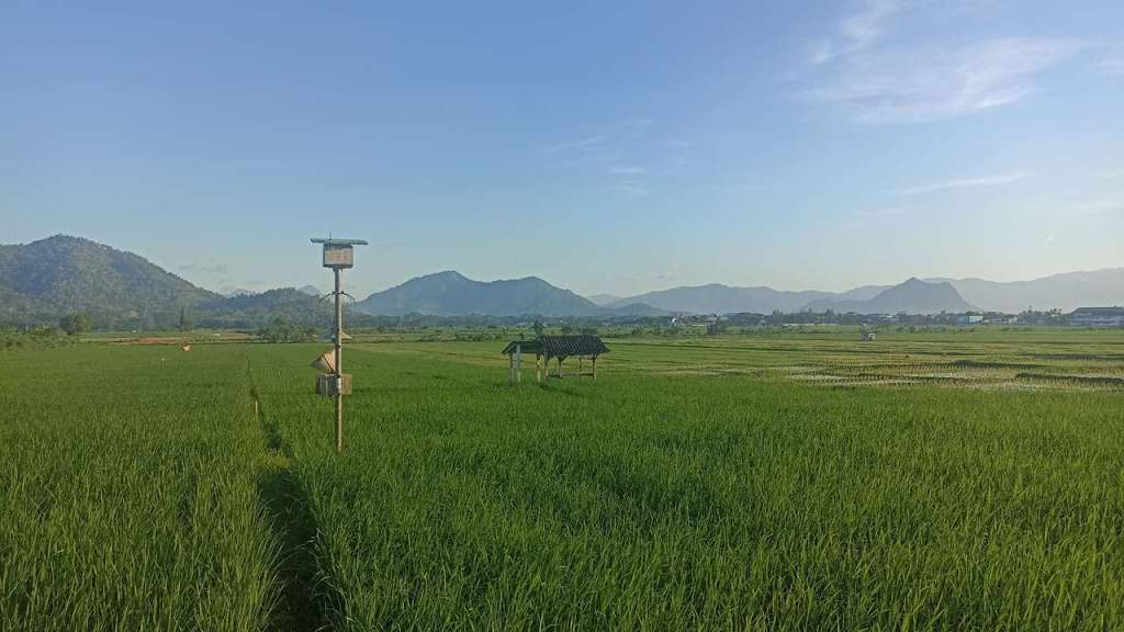 Memasuki Musim Kemarau, BMKG: Waspada&nbsp;Kekeringan