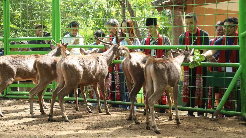Delegasi Asia Kunjungi Trenggalek, Belajar Transportasi dan Perlindungan&nbsp;Lingkungan