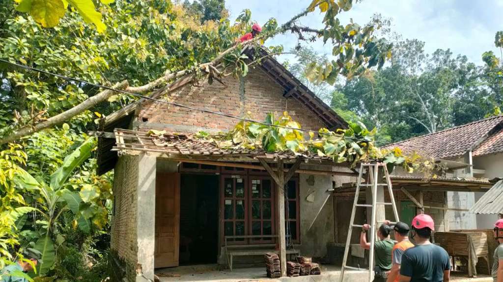 Pohon Berhimpitan dengan Rumah di Trenggalek Roboh, Atap&nbsp;Rusak
